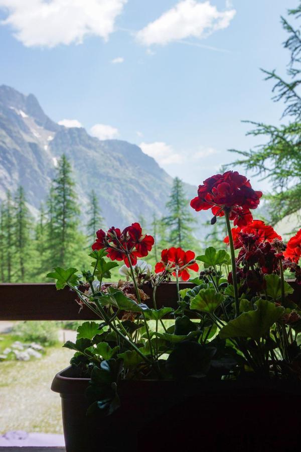 Chalet Refuge Du Pre De Madame Carle Ailefroide Esterno foto